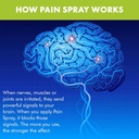 premiere-s-pain-spray-all-natural-mentho-5.jpg