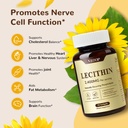sunflower-lecithin-2400-mg-90-softgels-r-3.jpg