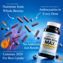holistic-health-labs-vision-alive-max-wi-5.jpg