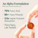 root-labs-alpha-shilajit-gummies-with-to-4.jpg