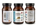 dr-wakde-s-gokshura-capsules-tribulus-te-2.jpg