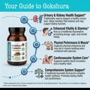 dr-wakde-s-gokshura-capsules-tribulus-te-3.jpg