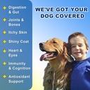 dog-vitamins-powder-pumpkin-powder-2.jpg