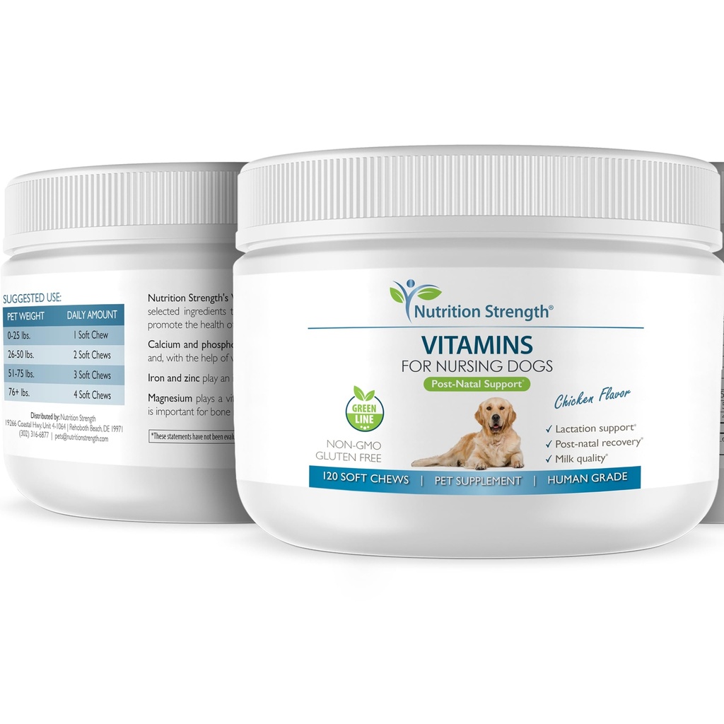 vitamins-for-nursing-dogs-support-post-n-4.jpg