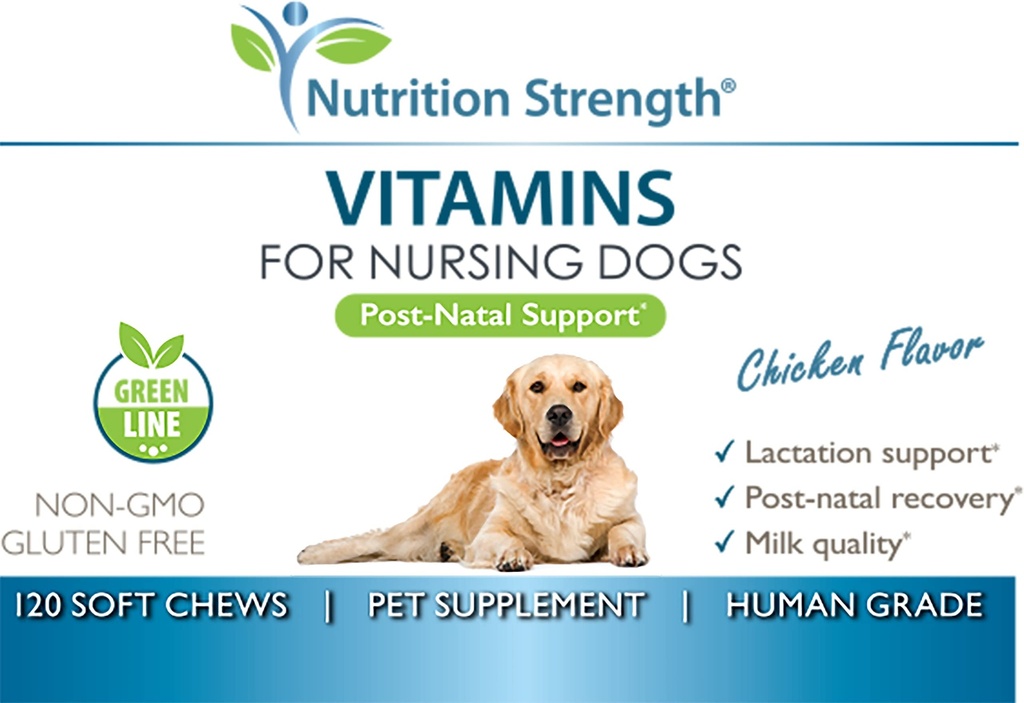 vitamins-for-nursing-dogs-support-post-n-6.jpg