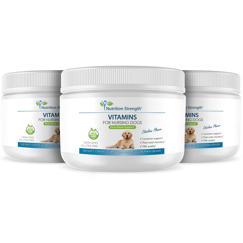 vitamins-for-nursing-dogs-support-post-n-5.jpg