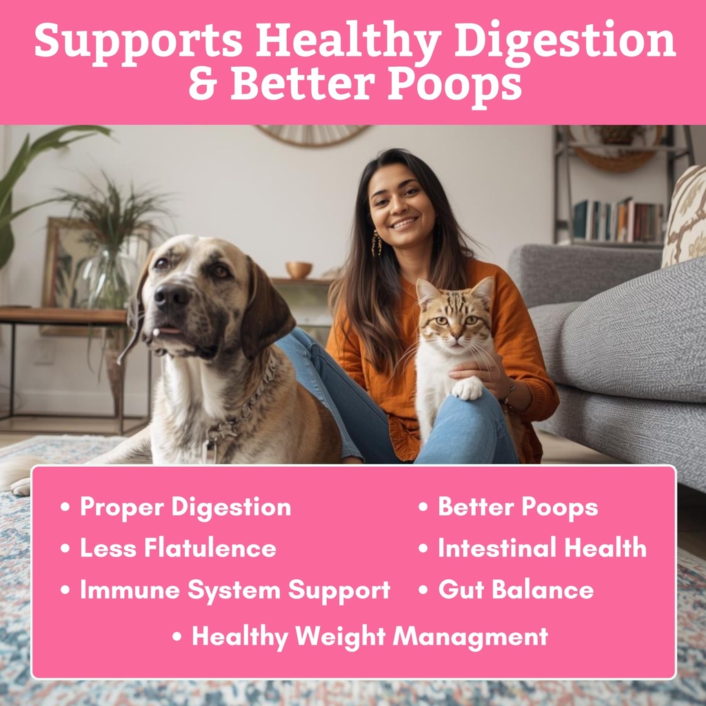 digestive-support-and-multivitamins-for--2.jpg