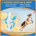 dog-multivitamin-powder-with-freeze-drie-4.jpg