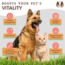 natural-dog-company-wellness-bundle-for--5.jpg