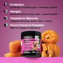 dog-allergy-wellness-virtual-bundle-alle-5.jpg