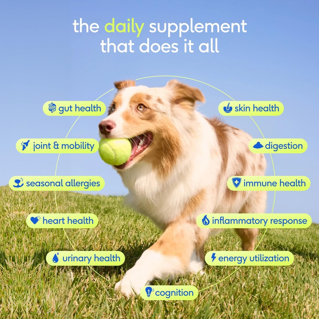 native-pet-advanced-calming-chews-for-do-3.jpg