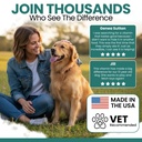 dog-multivitamin-chewable-chew-heal-12-i-5.jpg