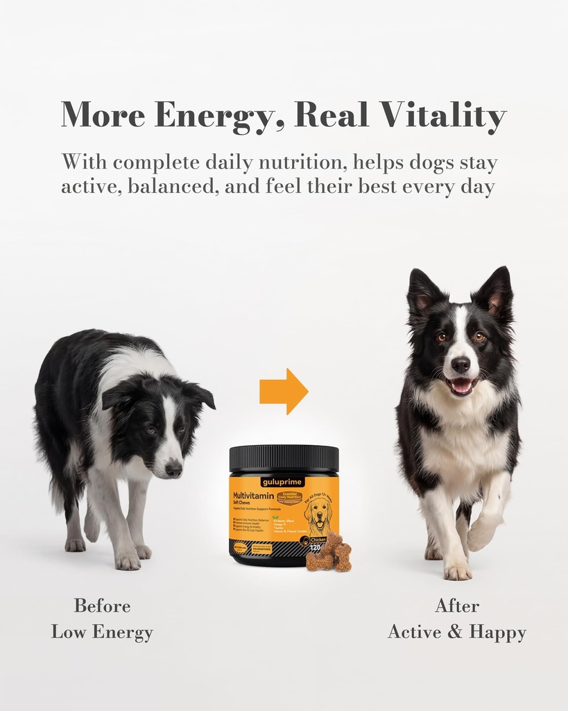 dog-multivitamin-soft-chews-daily-vitami-4.jpg