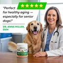 bark-spark-dog-multivitamin-chews-with-g-6.jpg