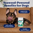 solid-gold-cat-dog-multivitamin-chews-ke-2.jpg