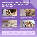 dog-multivitamin-chews-15-in-1-vitamins--2.jpg