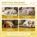 20-in-1-multivitamin-for-dogs-immune-dog-2.jpg