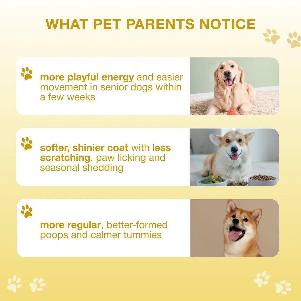 20-in-1-multivitamin-for-dogs-immune-dog-6.jpg