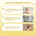 20-in-1-multivitamin-for-dogs-immune-dog-6.jpg