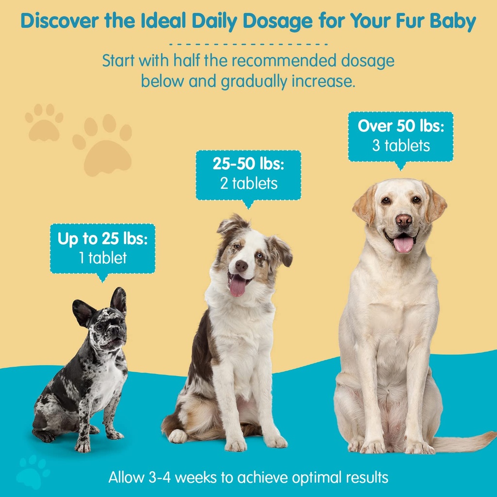 wanderfound-pets-10-in-1-dog-multivitami-5.jpg