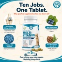 wanderfound-pets-10-in-1-dog-multivitami-2.jpg