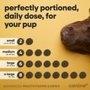 dog-multivitamin-24-in-1-chewable-supple-6.jpg