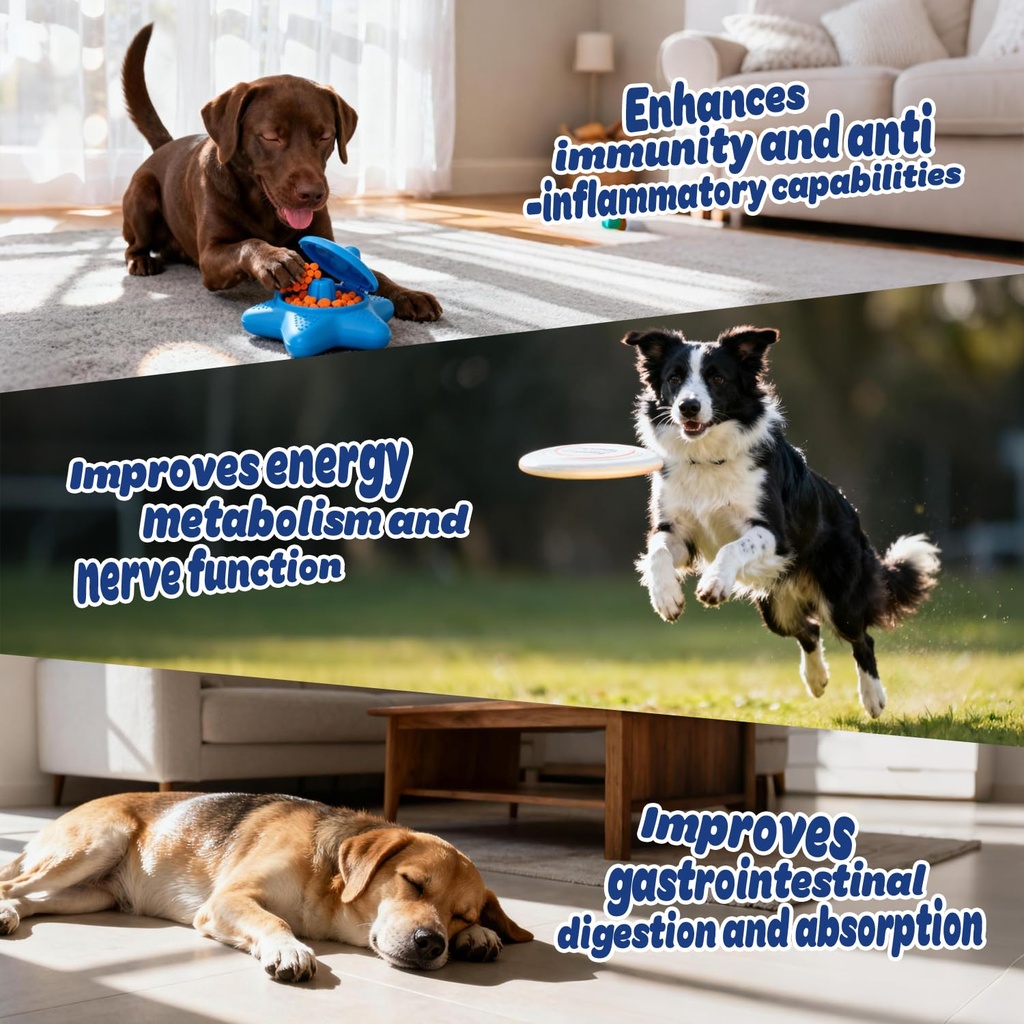 dog-multivitamin-with-glucosamine-chondr-4.jpg