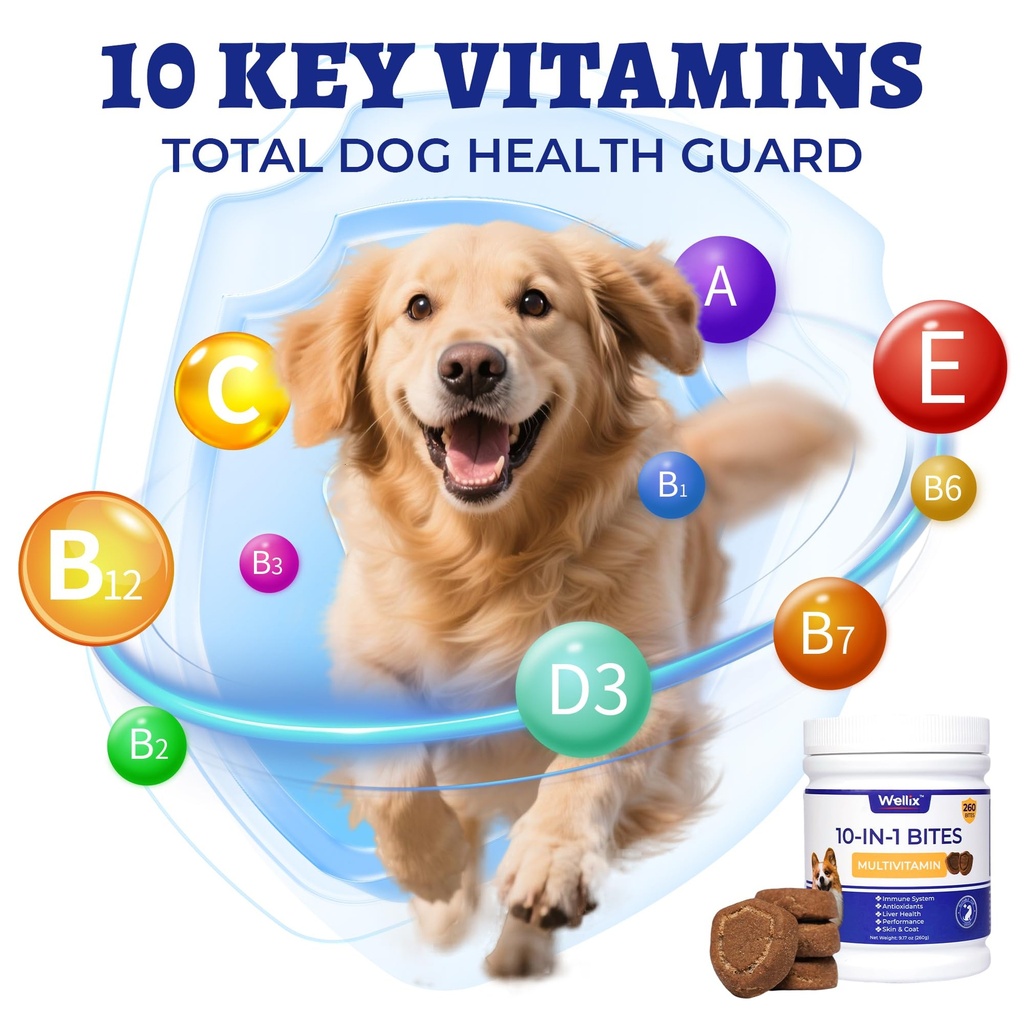 wellix-10-in-1-dog-vitamins-260-bites-mu-2.jpg
