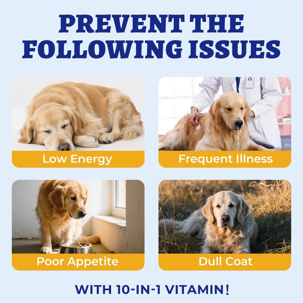 wellix-10-in-1-dog-vitamins-260-bites-mu-4.jpg