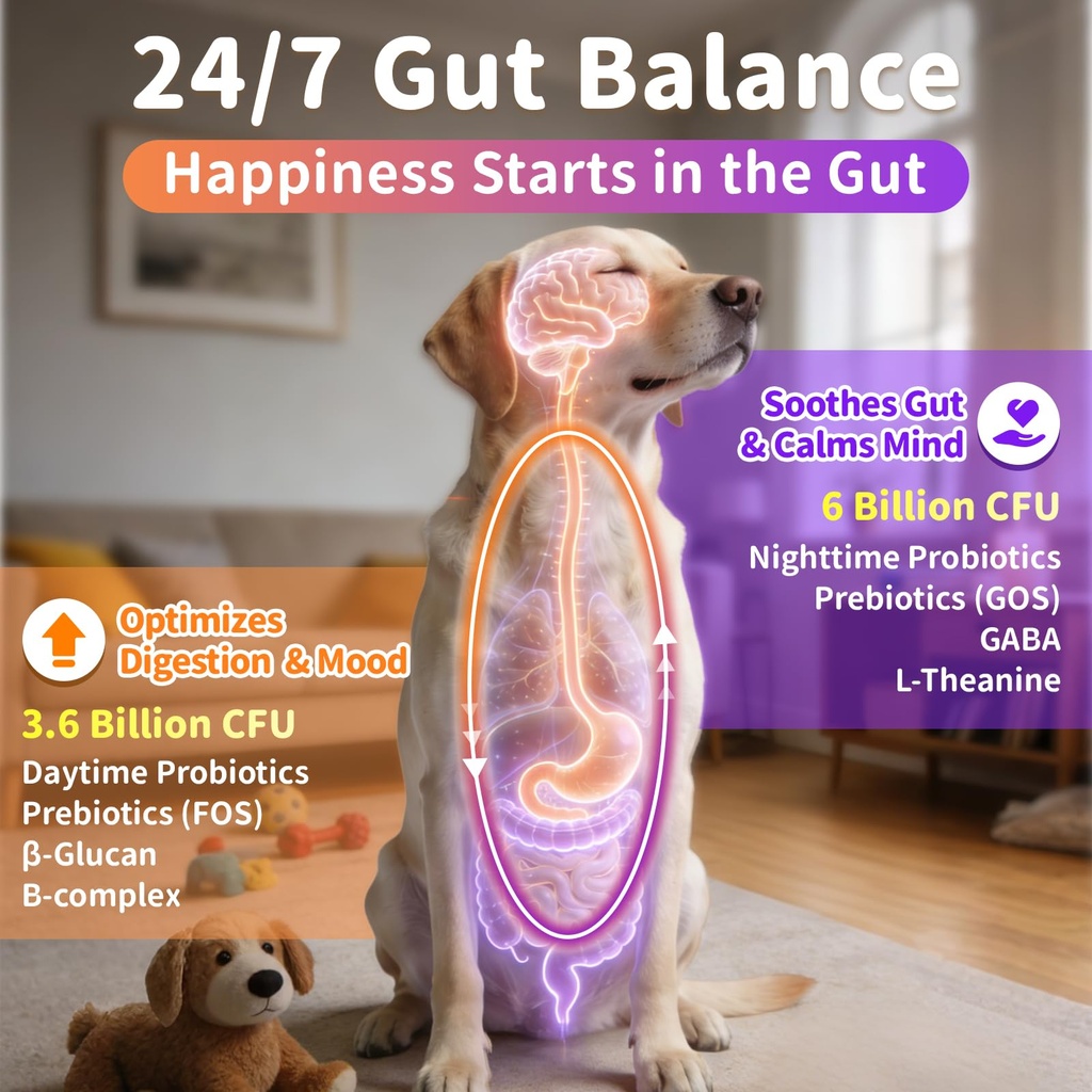 dog-vitamins-and-supplements-day-night-2-5.jpg