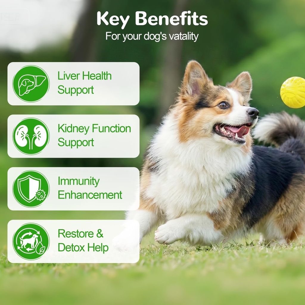 dog-liver-support-supplement-milk-thistl-2.jpg