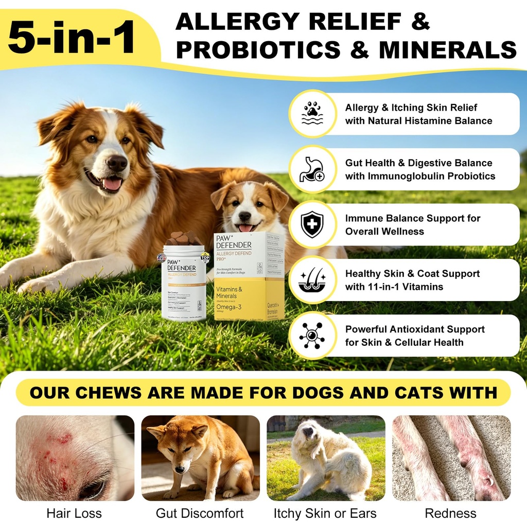 dog-allergy-chews-dog-multivitamin-itchi-3.jpg