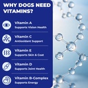 wellix-26-in-1-dog-multivitamin-dog-vita-5.jpg