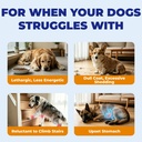 wellix-26-in-1-dog-multivitamin-dog-vita-6.jpg