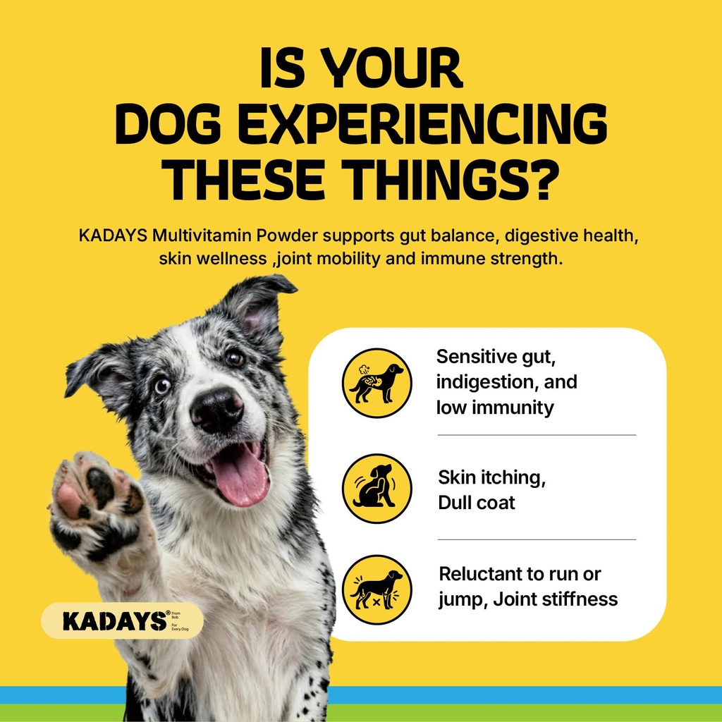 dog-multivitamin-powder-dog-vitamins-and-2.jpg