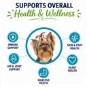yorkshire-terrier-dog-multivitamin-small-2.jpg
