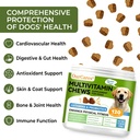 dog-multivitamin-chewable-vitamins-and-s-4.jpg