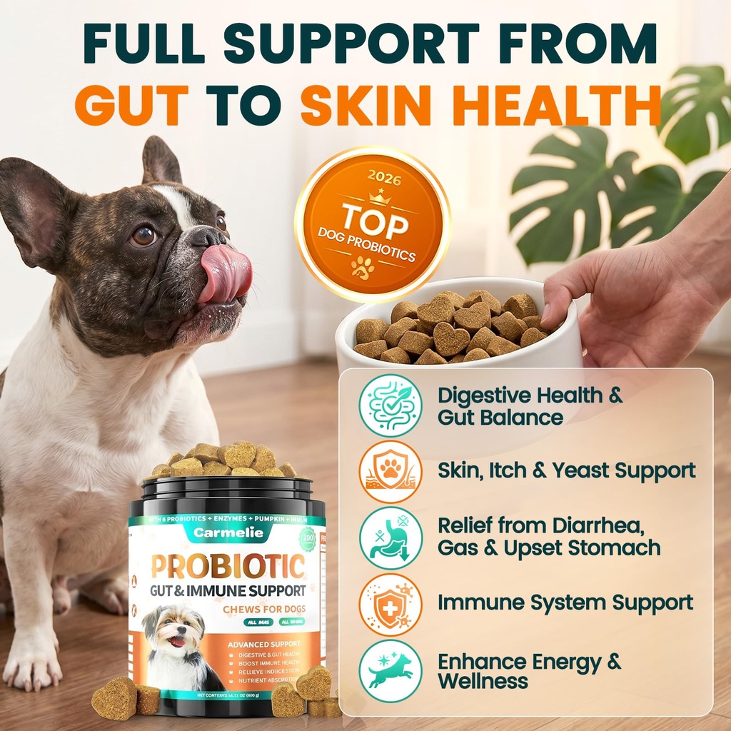 probiotics-for-dogs-gut-health-for-diges-2.jpg