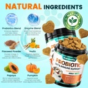 probiotics-for-dogs-gut-health-for-diges-3.jpg