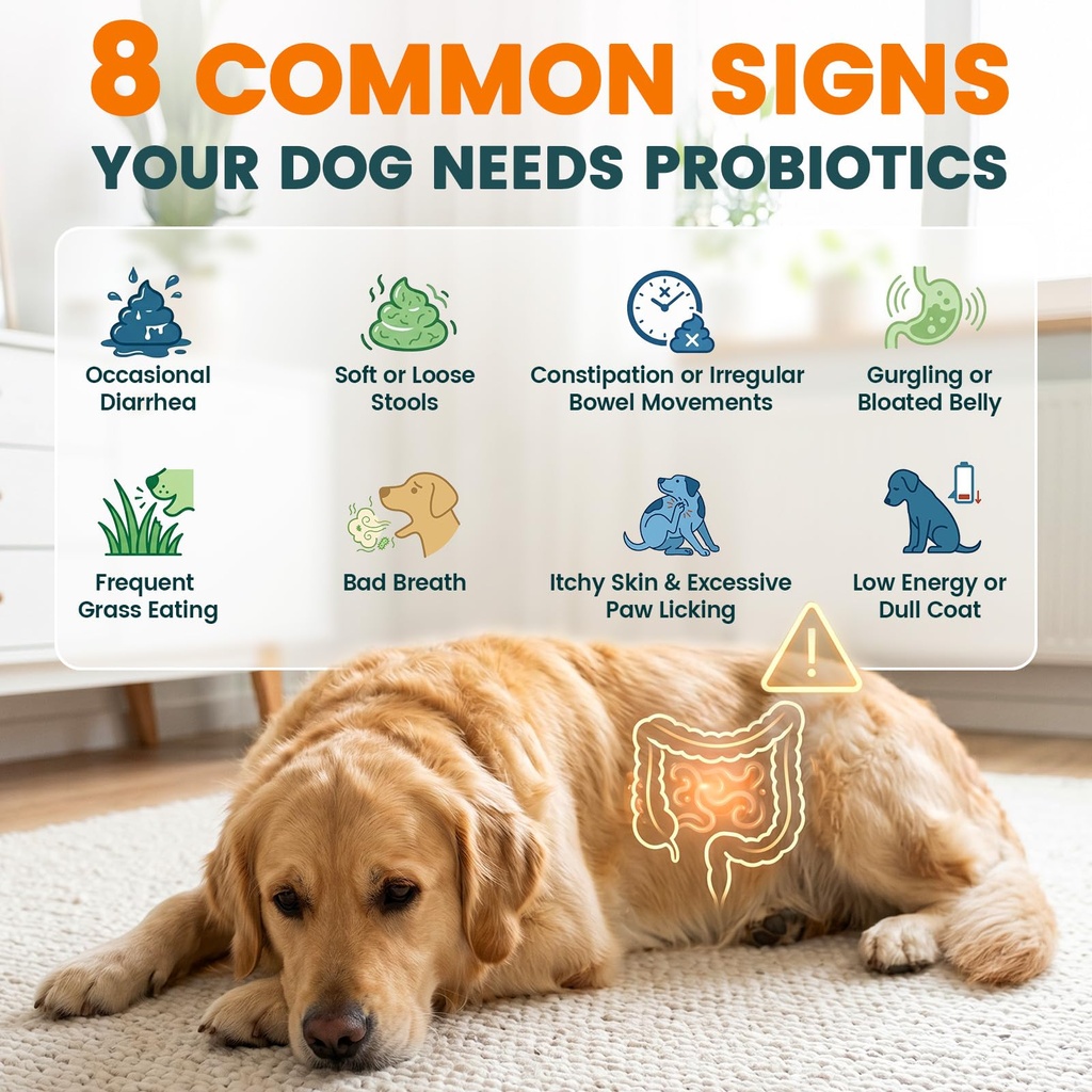 probiotics-for-dogs-gut-health-for-diges-4.jpg