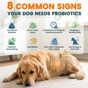 probiotics-for-dogs-gut-health-for-diges-4.jpg
