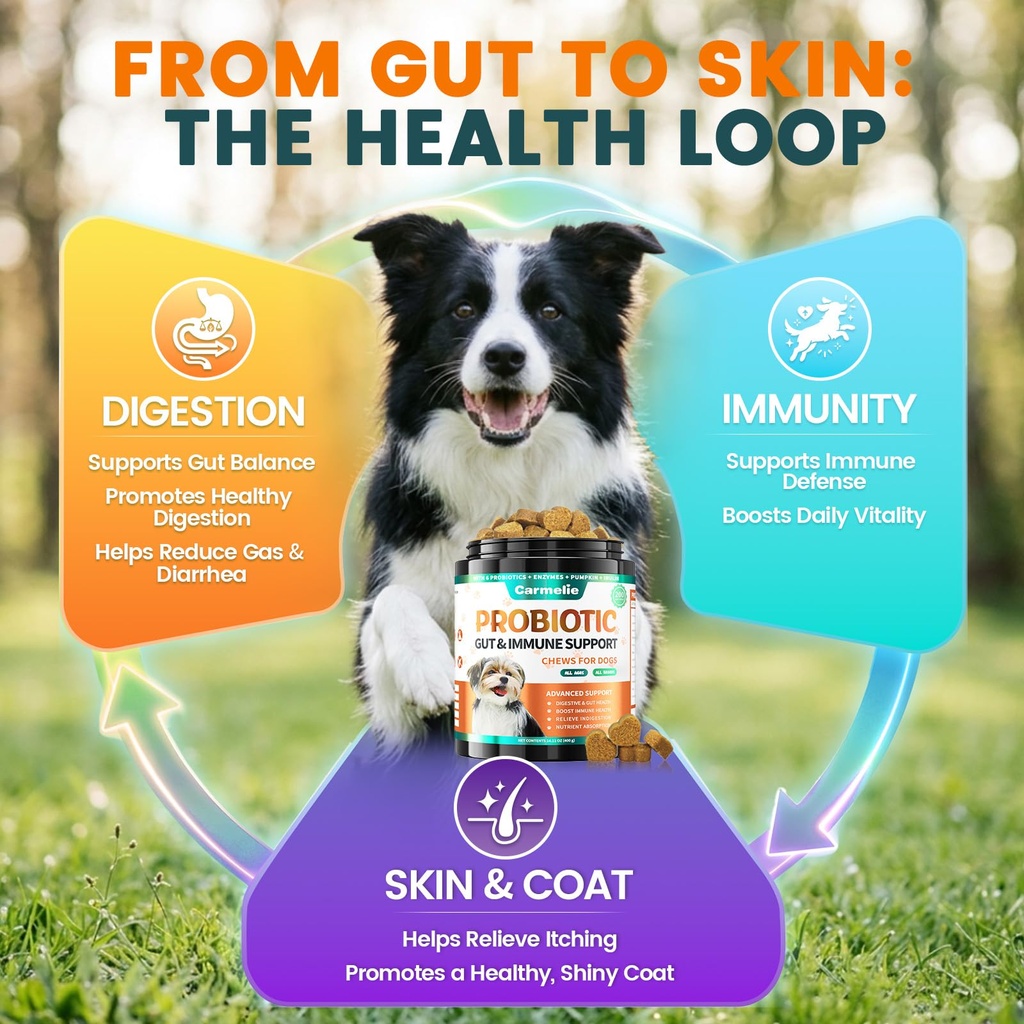 probiotics-for-dogs-gut-health-for-diges-5.jpg