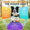 probiotics-for-dogs-gut-health-for-diges-5.jpg