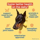 happy-paws-10-in-1-dog-multivitamin-supp-2.jpg