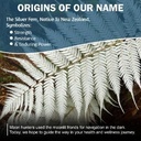 silver-fern-brand-regularity-digestive-s-5.jpg