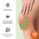 wellnee-original-herbal-knee-patch-wellk-3.jpg