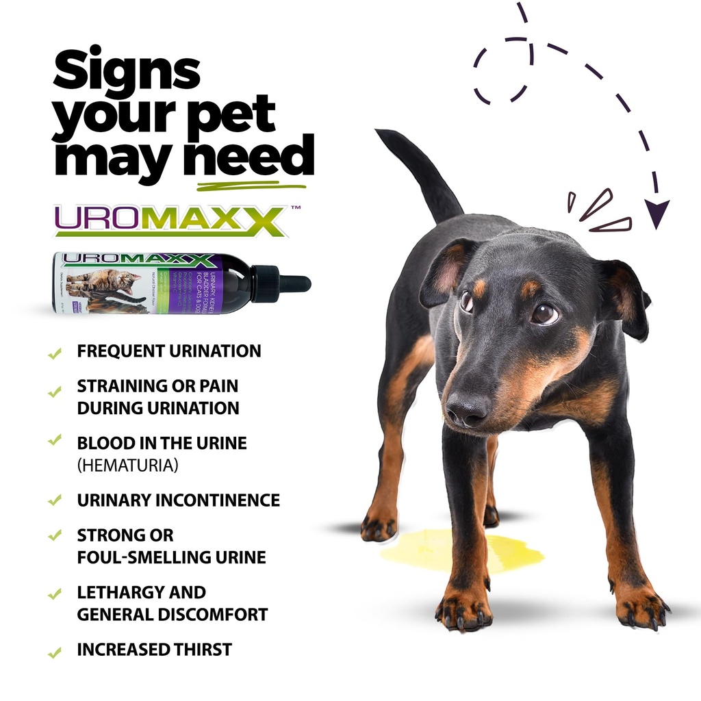 uromaxx-urinary-tract-support-liquid-for-2.jpg