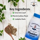 christopher-s-original-formulas-bladder--3.jpg