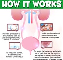 urinary-tract-for-dogs-dog-urinary-tract-5.jpg