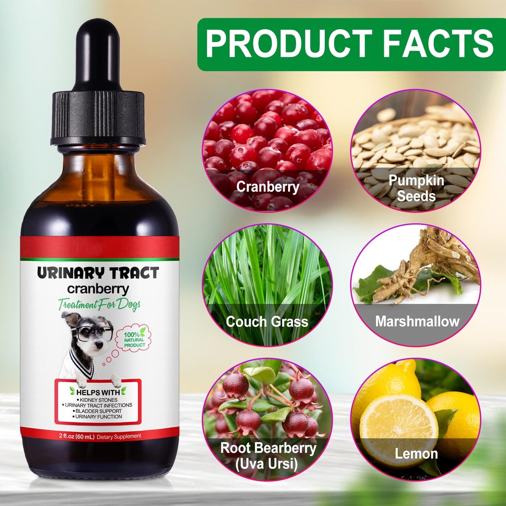 urinary-tract-for-dogs-dog-urinary-tract-2.jpg